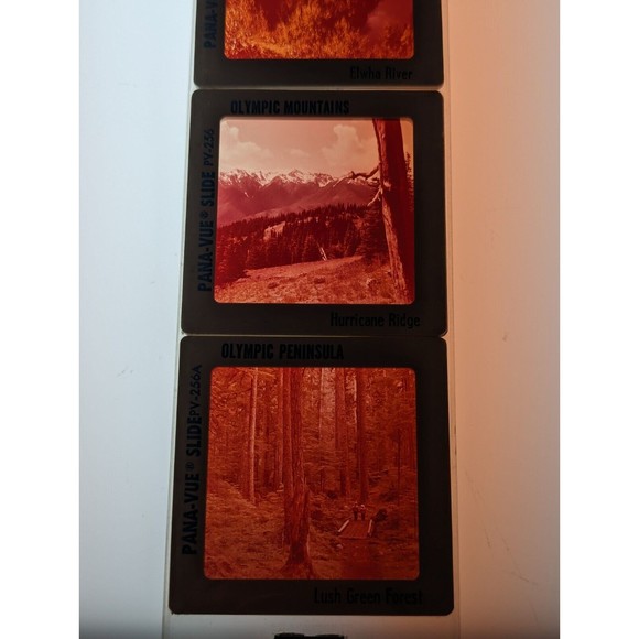 Vintage GAF Pana-Vue Slides Olympic Peninsula Washington State Lot of 5 PV114 - Picture 11 of 11